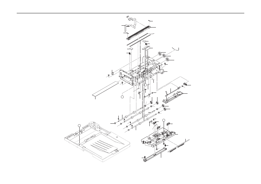 DP Conveying Section (40ppm(A4),42ppm(Letter)(A)/40ppm(A4)(BF)/40ppm(A4),42ppm(Letter)(CF)/ 40ppm(A4),42ppm(Letter)(DF))
