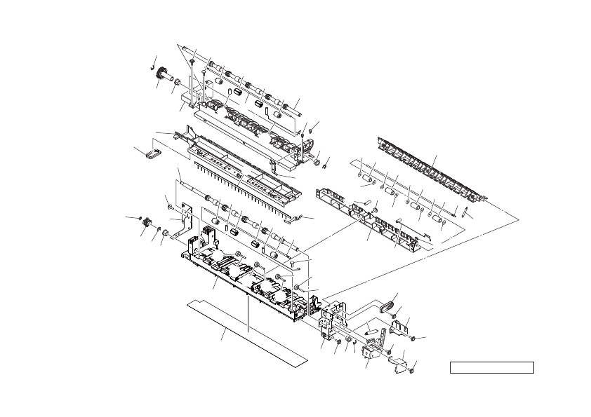 Reverse/Paper Exit Section