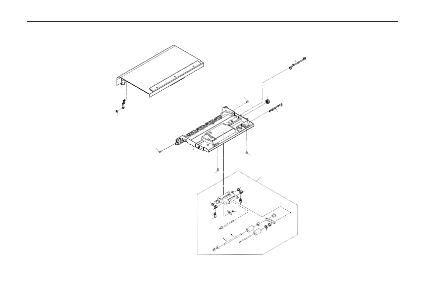 DP Paper Feed Section